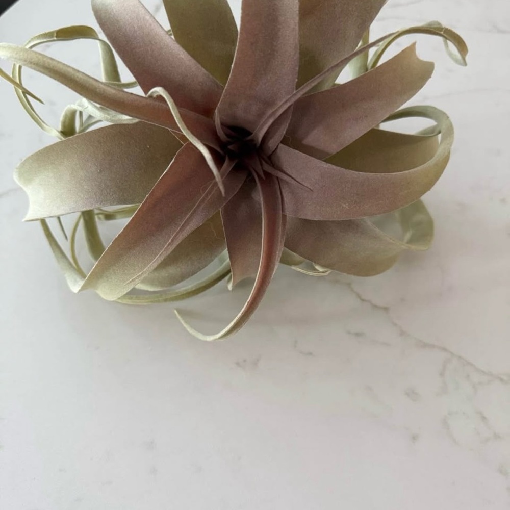 Elegant Tan Faux Succulent Decor